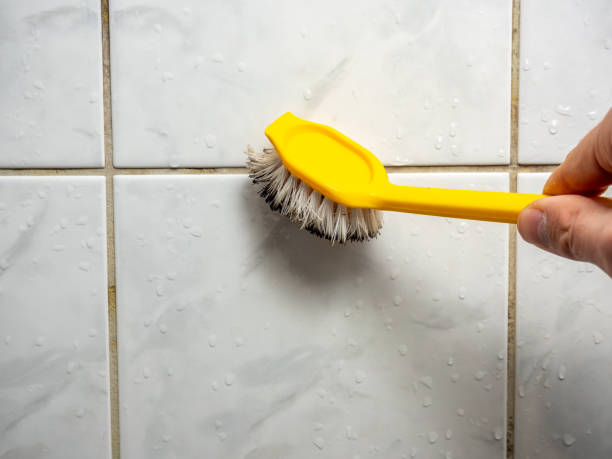 Best Mold Removal Company Near Me  in Tioga, TX