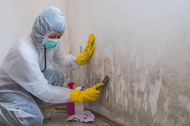 Best Mold Testing  in Tioga, TX