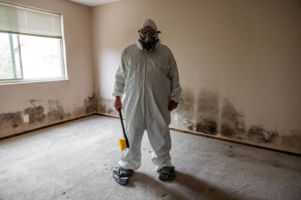 Best Commercial Mold Removal  in Tioga, TX